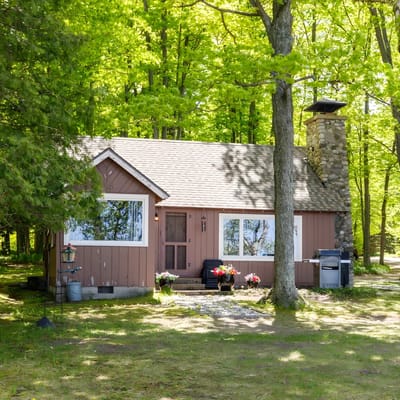CRO's Terrapin Station