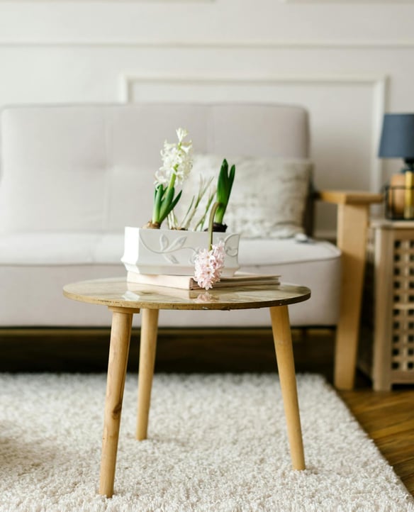Modern Comforts