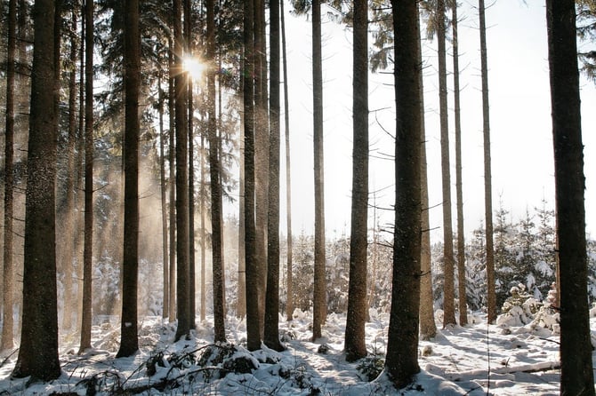 What to Pack for a Holiday Getaway in Traverse City
