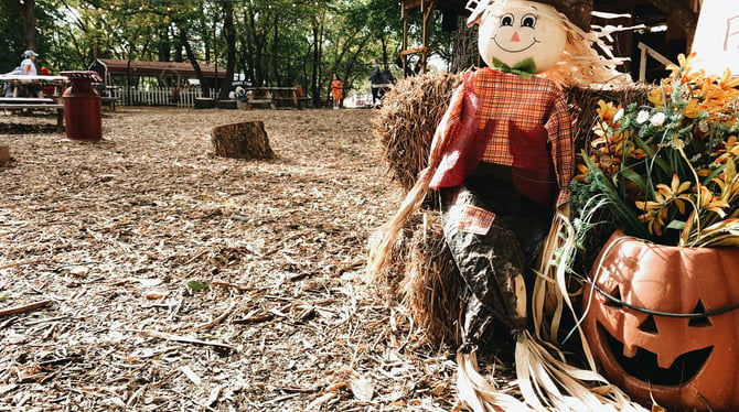 Flapjack & Flannel Festival and Other Fall Events in Traverse City