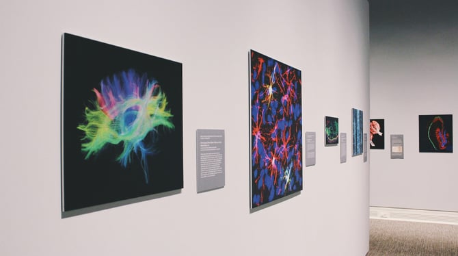 Visit Dennos Museum Center