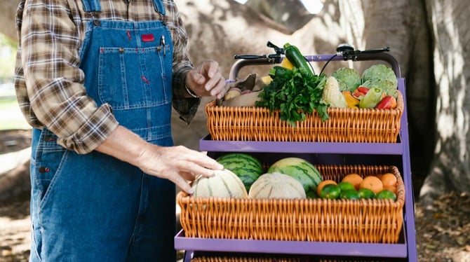 Local Farmers and Craft Markets in Traverse City, MI