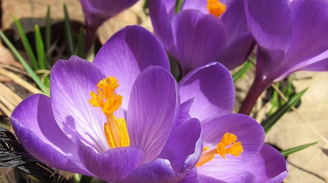 The Ultimate Spring Guide to Traverse City
