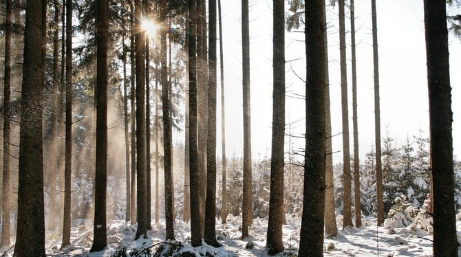 What to Pack for a Holiday Getaway in Traverse City
