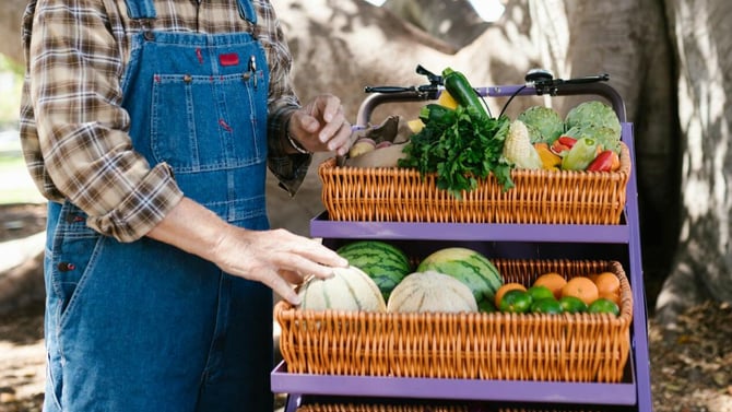 Local Farmers and Craft Markets in Traverse City, MI